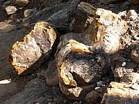 Escalante state park (11).JPG